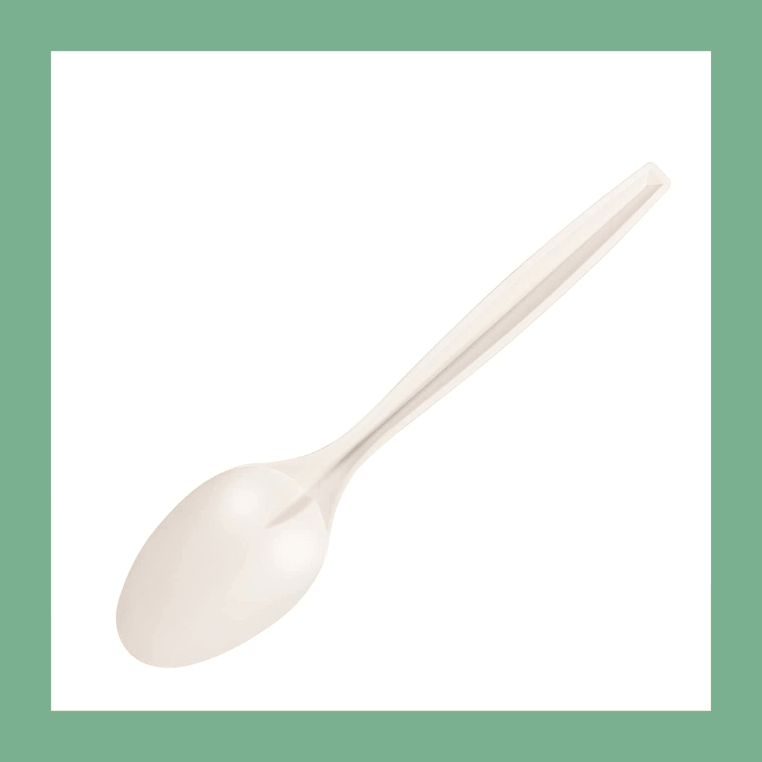 Eco-friendly Disposable Spoon - CT Foodware